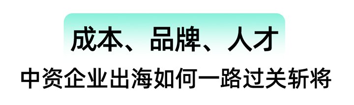 深入洞察
