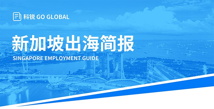深入洞察