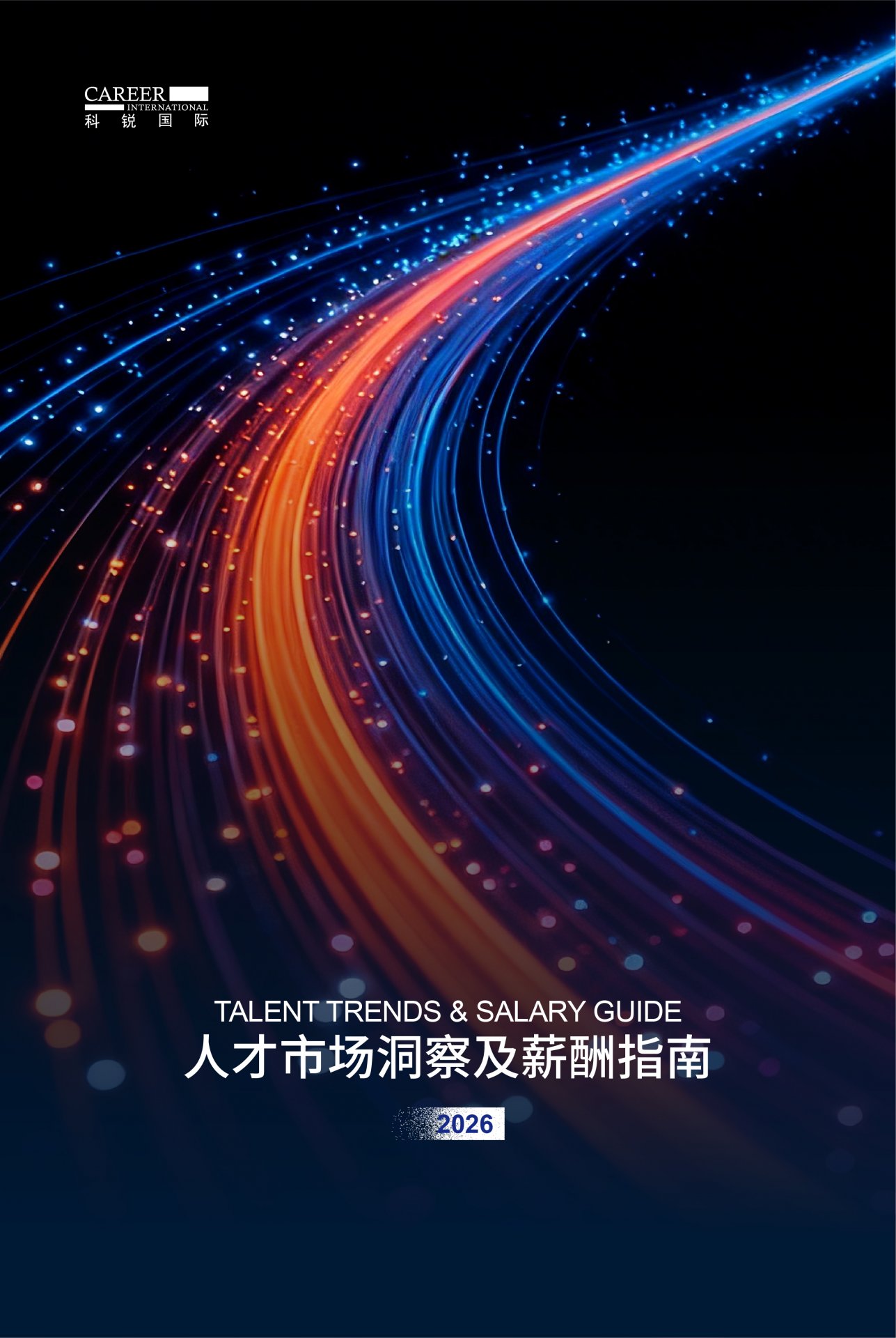 专业服务