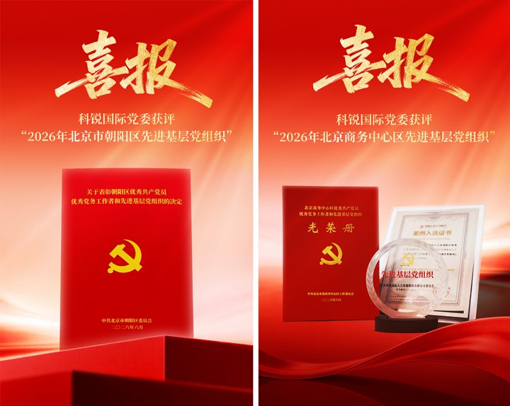 深入洞察